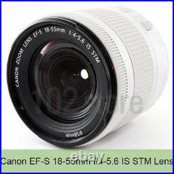 New Canon EF-S 18-55mm f/4-5.6 IS STM Lens White / Silver Bulk(White Box)